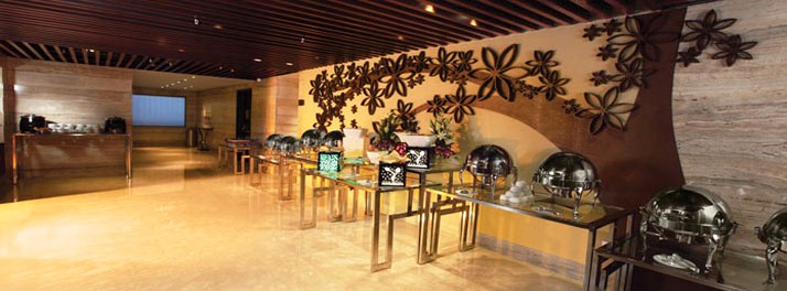 720/Hotel Vrisa - Jaipur 03.jpg